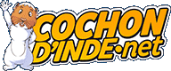 CochonDinde.net